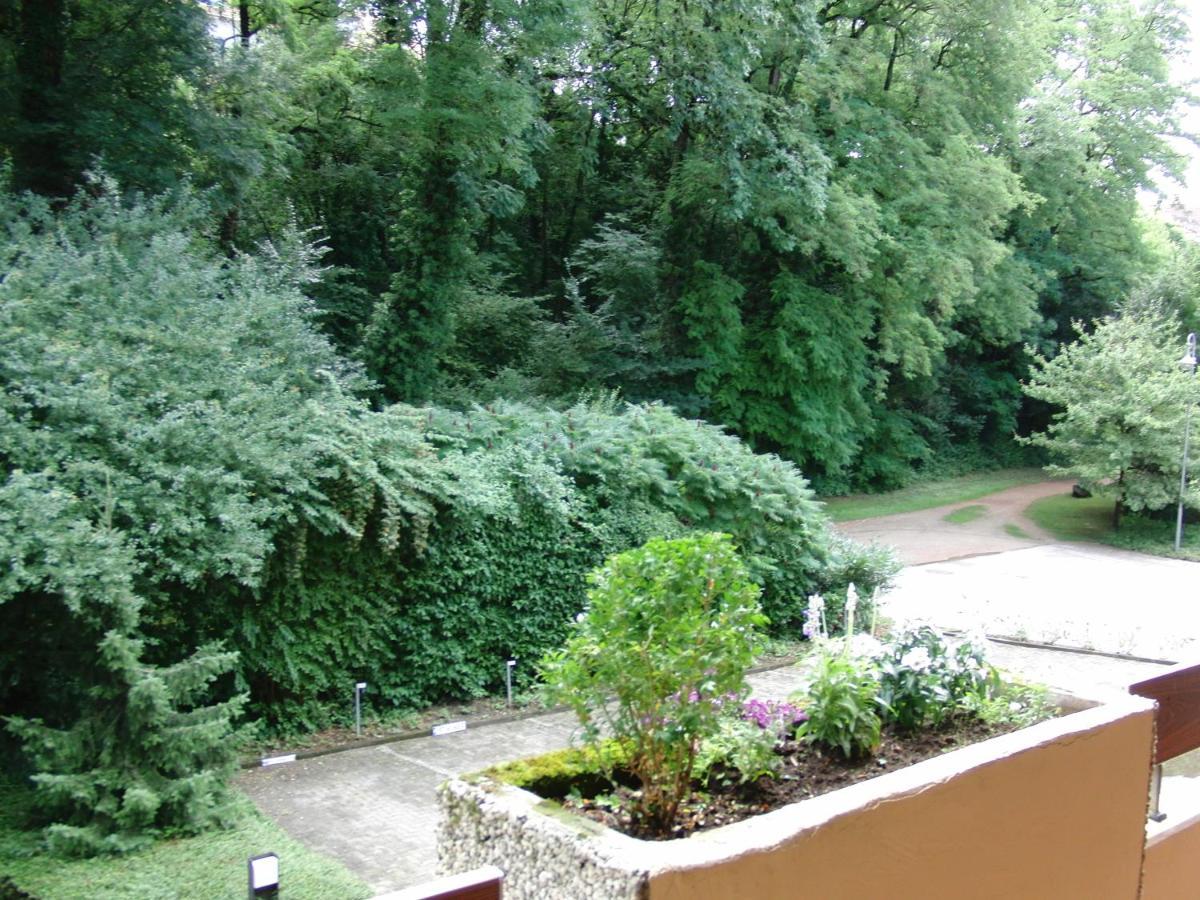 Appartementhaus Im Gruen Bad Bellingen Exteriör bild